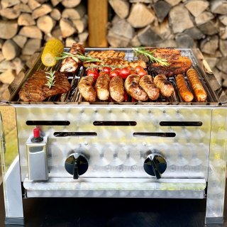 Gasgrill Edelstahl 2 flammig mit Rost, 48 x 53 x 27 Grillrost Edelstahl geschweit